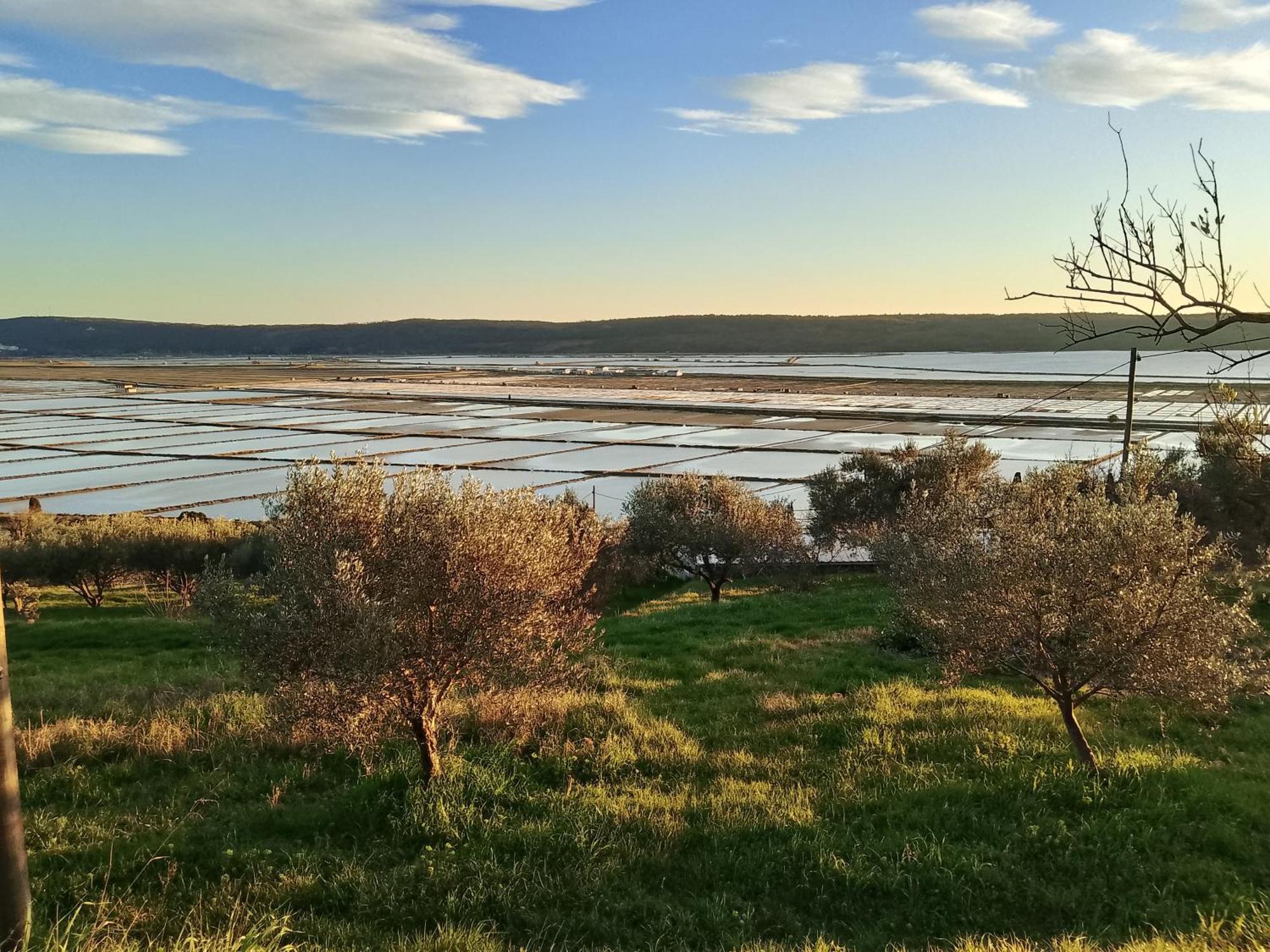 Apartment M&R Portorož Dış mekan fotoğraf